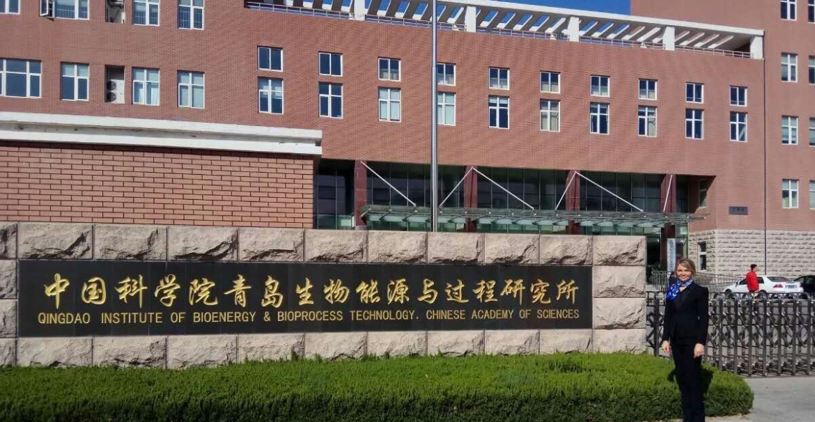 Qingdao Institute